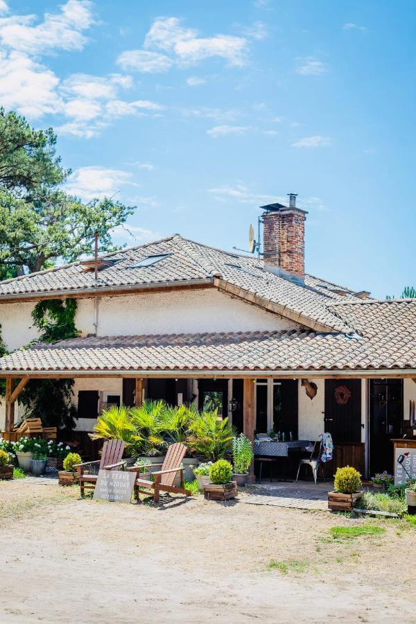 La Ferme Du Miouat Hotel Saint-Julien-en-Born Exterior foto
