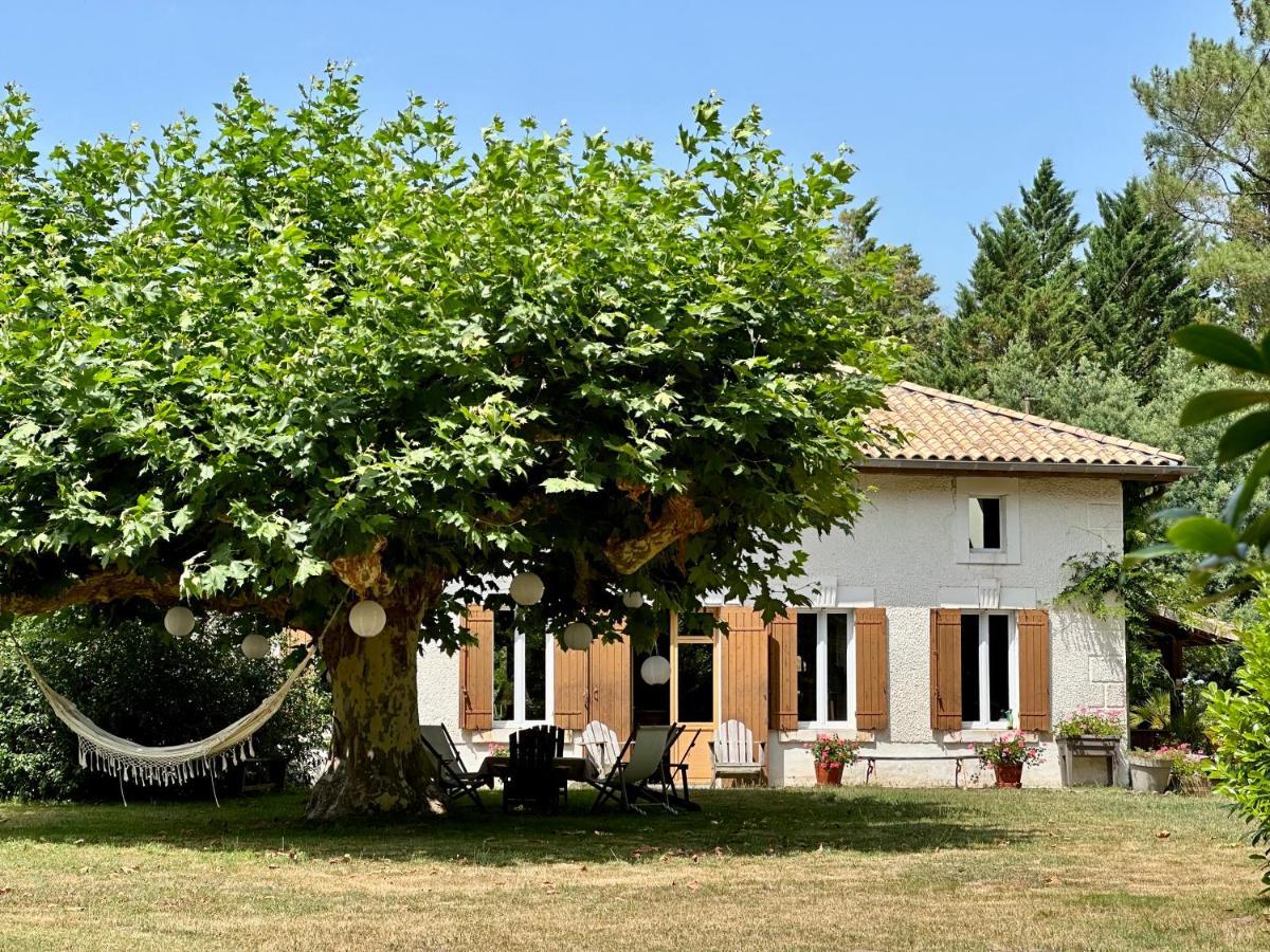 La Ferme Du Miouat Hotel Saint-Julien-en-Born Exterior foto