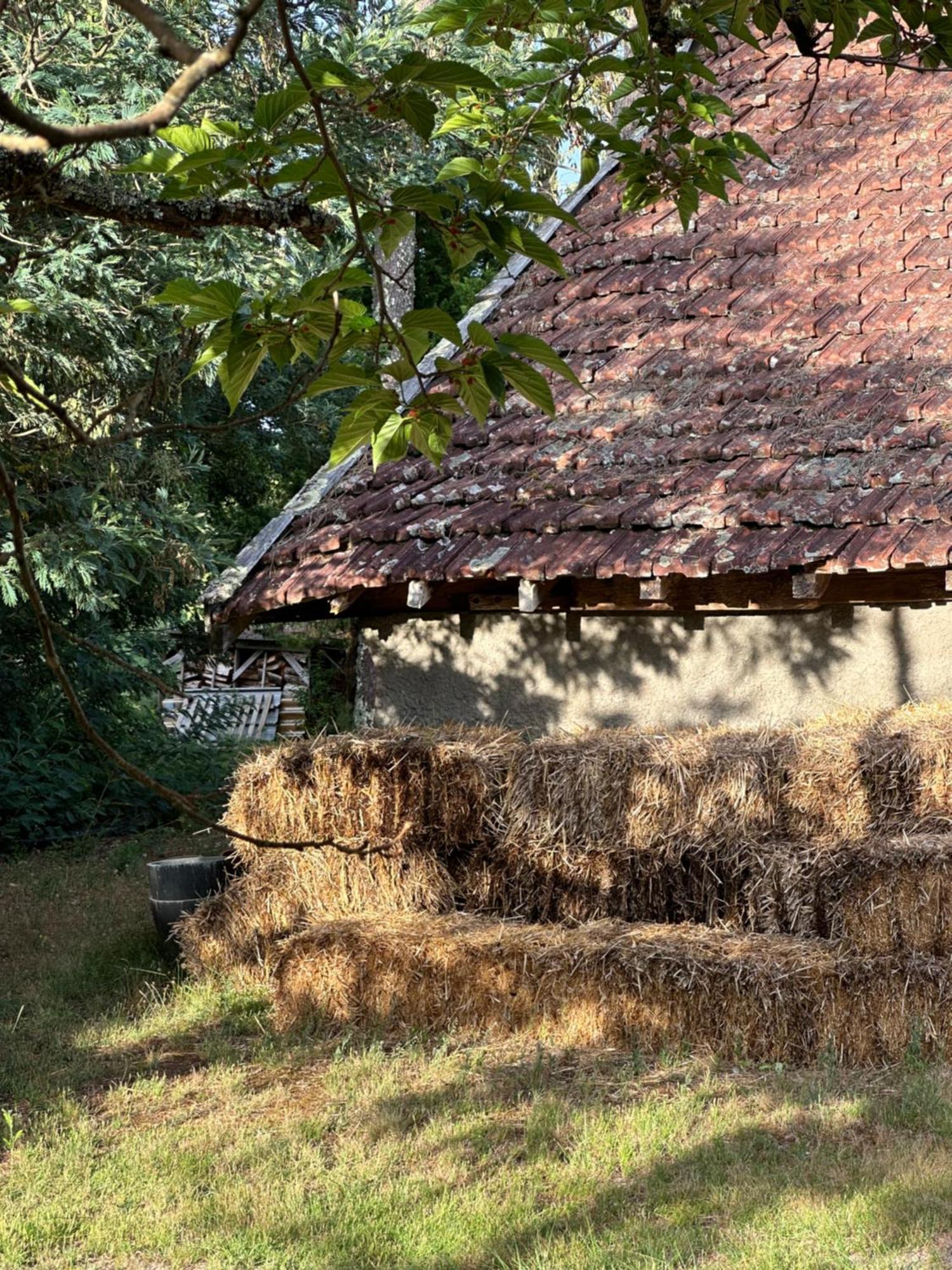 La Ferme Du Miouat Hotel Saint-Julien-en-Born Exterior foto
